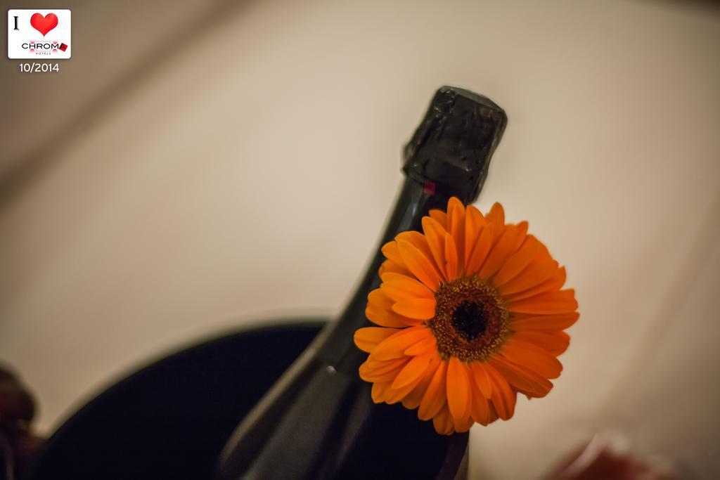 Chroma Domus Fiano Romano Bed & Breakfast 部屋 写真